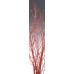 BIRCH BRANCHES GLITTERED 3'-4' Red- CLOSE OUT !!!!!